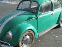 1965 Volkswagen Beetle for sale in Michigan (ID-116879)