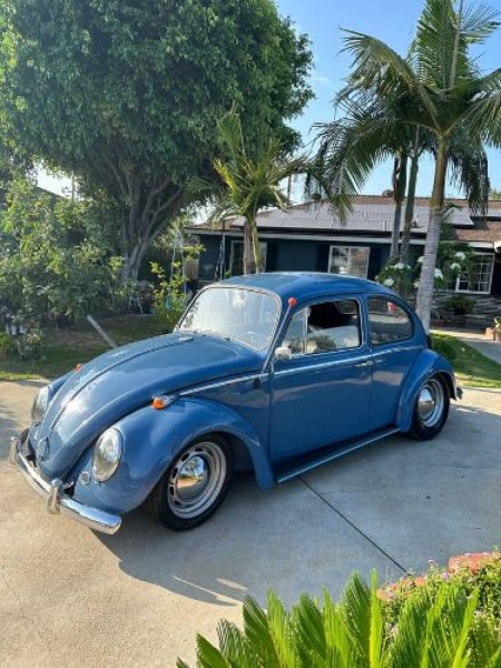 1965 Volkswagen Beetle for sale in Michigan (ID-119138)