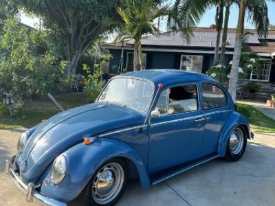 1965 Volkswagen Beetle for sale