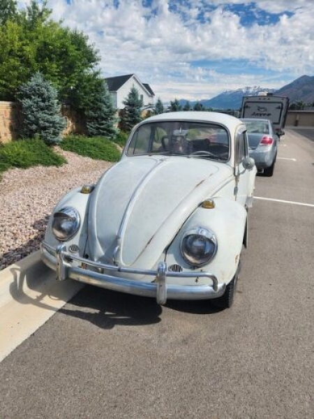 1965 Volkswagen Beetle for sale in Michigan (ID-136248)