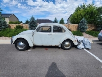 1965 Volkswagen Beetle for sale in Michigan (ID-136248)