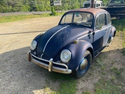1965 Volkswagen Beetle for sale