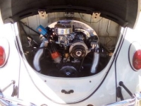 1965 Volkswagen Beetle for sale in Michigan (ID-138848)