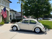 1965 Volkswagen Beetle for sale in Michigan (ID-138848)
