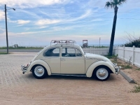 1965 Volkswagen Beetle for sale in Michigan (ID-138848)
