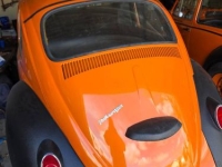 1965 Volkswagen Beetle for sale in Michigan (ID-139682)