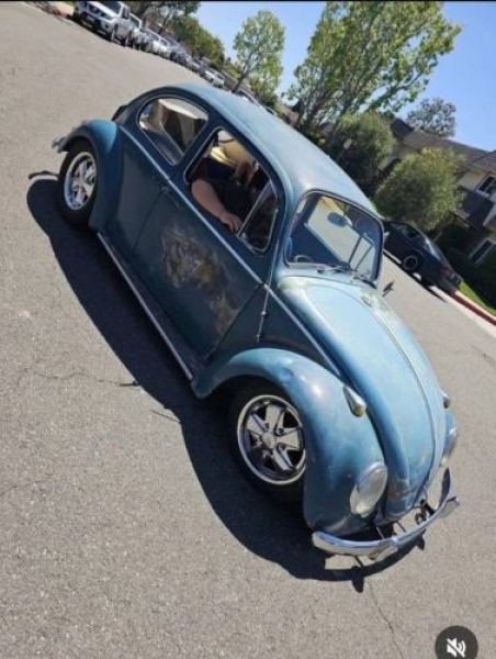 1965 Volkswagen Beetle for sale in Michigan (ID-142122)