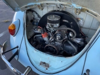1965 Volkswagen Beetle for sale in Michigan (ID-144381)