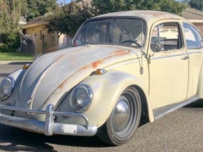 1965 Volkswagen Beetle for sale