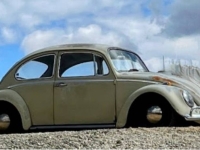 1965 Volkswagen Beetle for sale in Michigan (ID-146241)