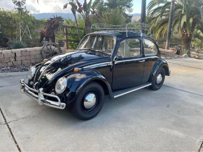 1965 Volkswagen Beetle for sale