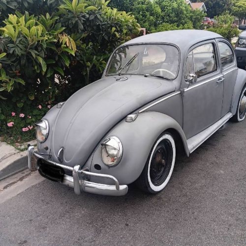 1965 Volkswagen Beetle for sale in Michigan (ID-154892)