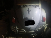 1965 Volkswagen Beetle for sale in Michigan (ID-154892)