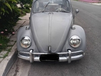 1965 Volkswagen Beetle for sale in Michigan (ID-154892)