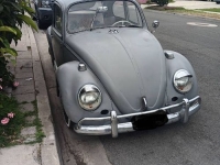 1965 Volkswagen Beetle for sale in Michigan (ID-154892)