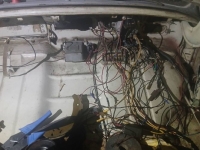 1965 Volkswagen Beetle for sale in Michigan (ID-154892)