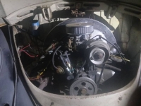 1965 Volkswagen Beetle for sale in Michigan (ID-154892)