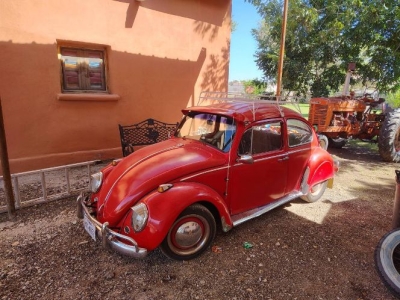 1965 Volkswagen Beetle for sale