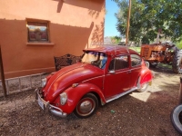 1965 Volkswagen Beetle for sale in Michigan (ID-155903)