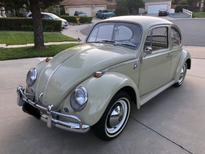 1965 Volkswagen Beetle for sale