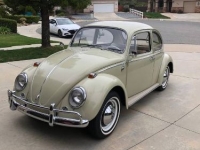 1965 Volkswagen Beetle for sale in Michigan (ID-161939)