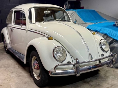 1965 Volkswagen Beetle for sale