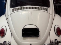 1965 Volkswagen Beetle for sale in Michigan (ID-161941)