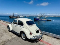 1965 Volkswagen Beetle for sale in Michigan (ID-161941)