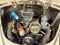 1965 Volkswagen Beetle for sale in Michigan (ID-161941)