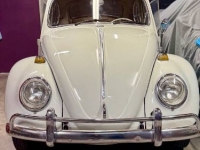 1965 Volkswagen Beetle for sale in Michigan (ID-161941)