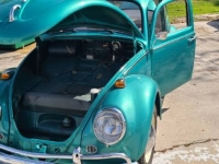 1965 Volkswagen Bug for sale in Michigan (ID-109104)