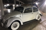 1966 Volkswagen Beetle for sale in Washington, District of Columbia (ID-28614)