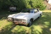 1966 Buick Skylark for sale