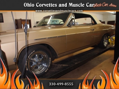 1966 Buick Special for sale