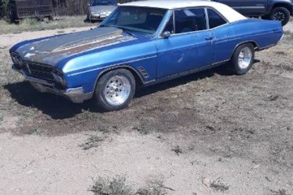 1966 Buick Skylark for sale