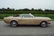 1966 Ford Mustang for sale