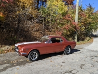 1966 Ford Mustang for sale in Burlington, Ontario (ID-122857)