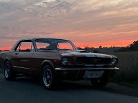 1966 Ford Mustang for sale in Burlington, Ontario (ID-122857)