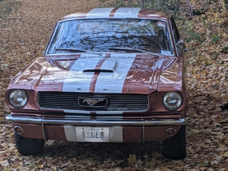 1966 Ford Mustang for sale in Burlington, Ontario (ID-122857) 1966 Ford Mustang for sale in Burlington, Ontario (ID-122857)