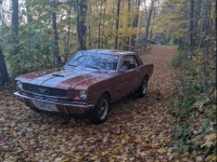1966 Ford Mustang for sale in Burlington, Ontario (ID-122857)