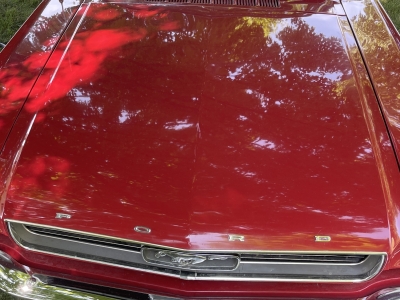 1966 Ford Mustang GT for sale
