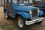 1966 Jeep CJ5 for sale