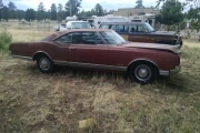 1966 Oldsmobile Delta 88 for sale