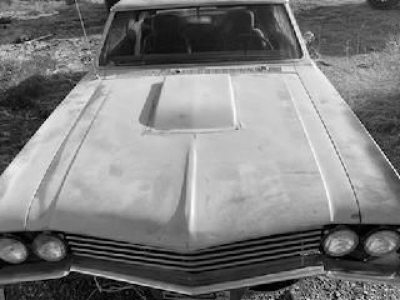 1966 Buick Skylark for sale