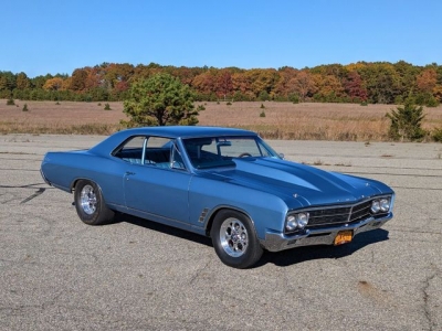 1966 Buick Skylark for sale