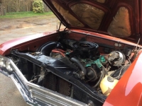 1966 Buick Skylark for sale in Michigan (ID-125272)