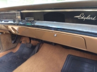 1966 Buick Skylark for sale in Michigan (ID-125272)