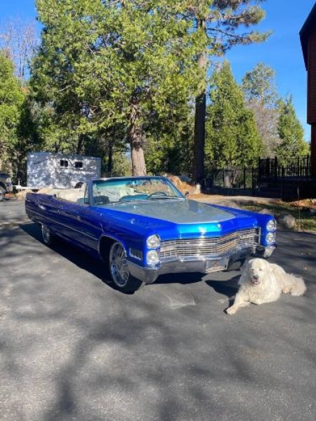 1966 Cadillac DeVille for sale in Michigan (ID-155846)