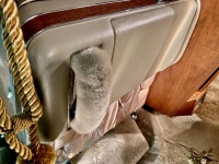 1966 Cadillac Fleetwood for sale in Michigan (ID-113301)