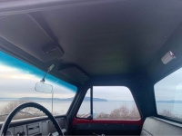 1966 Chevrolet C10 for sale in Michigan (ID-125959)